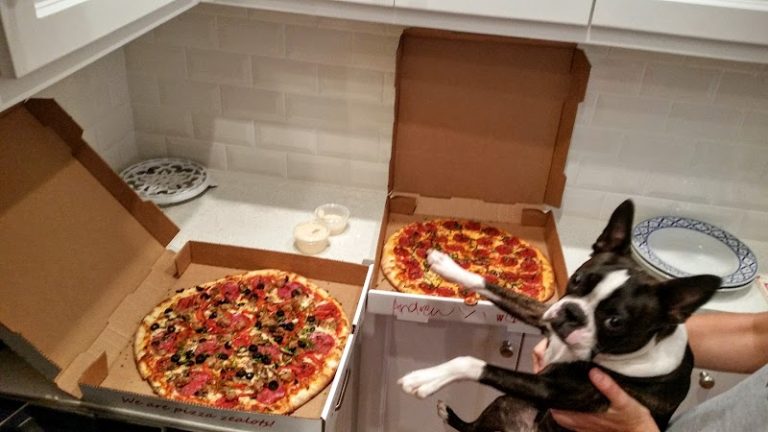 photo.html 1 768x432