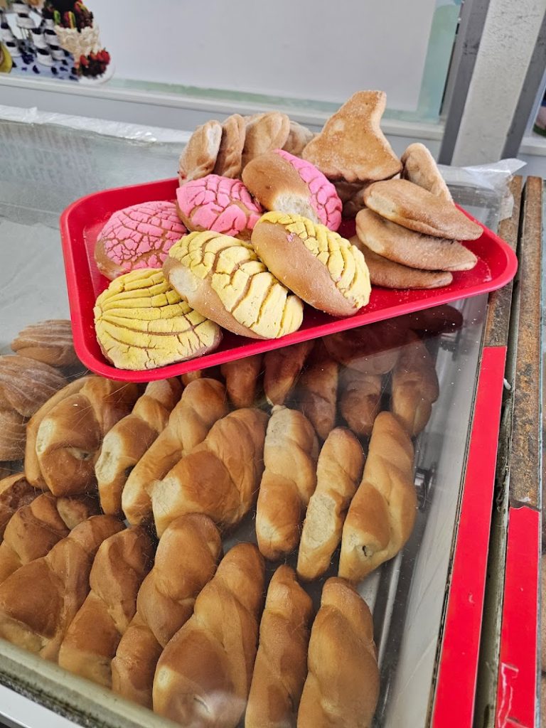 photo.html 42 768x1024