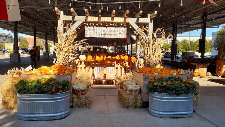 photo.html 6 768x432